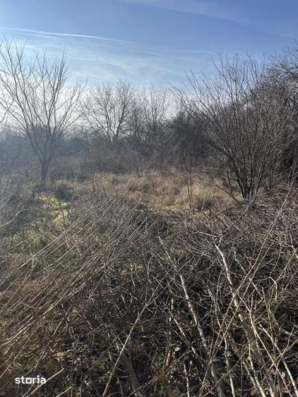 Teren de 1200 mp, în Petrăchioaia