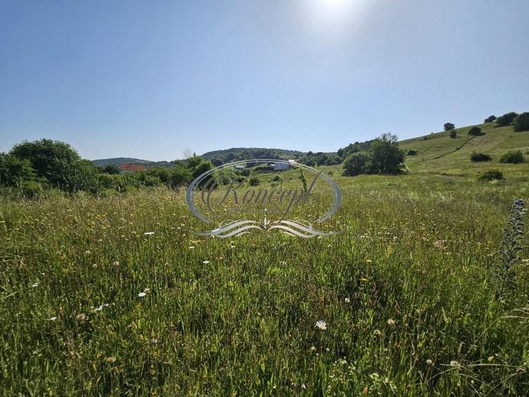 Teren Construcții intravilan de 2000 mp, în Sălicea