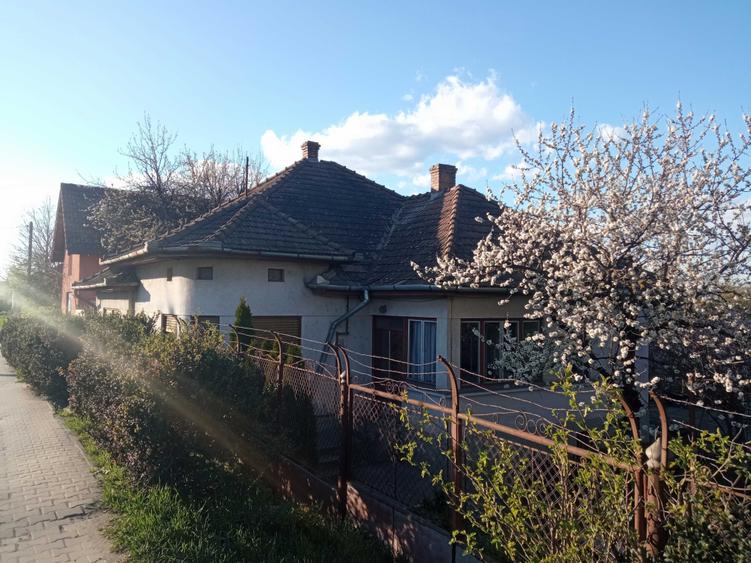 Casă cu 4 camere cu Teren 942 Mp în Mureșeni