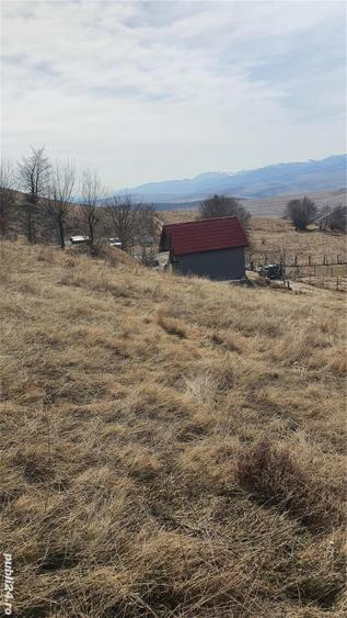 Teren de 4100 mp, în Sălicea