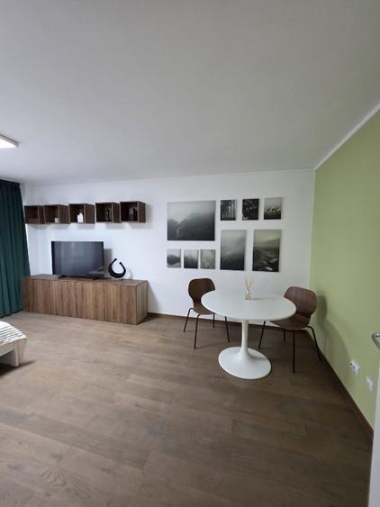 Prima Inchiriere Garsoniera -Unirii, Pet Friendly, Pret Negociabil - 8