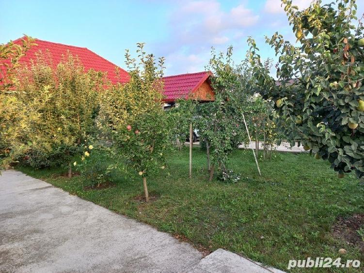 Casă cu 6 camere cu Teren 1997 Mp în Homocea