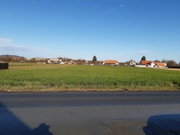 Teren construibil intravilan utilitati central Lunca Calnicului 2325mp - 8