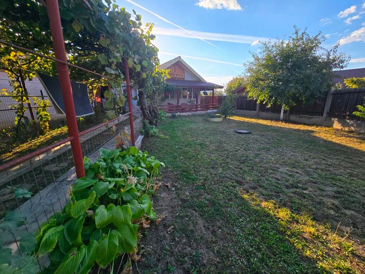Casă individuală cu 3 camere cu Teren 2287 Mp în Pleșcoi