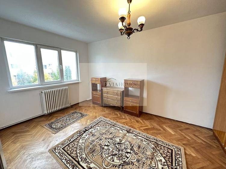 2 camere/boxa de depozitare/ Zona Br&acirc;ncuși - 7