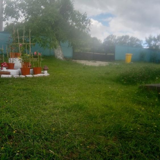 Casă individuală cu 2 camere cu Teren 1420 Mp în Baia de Criș