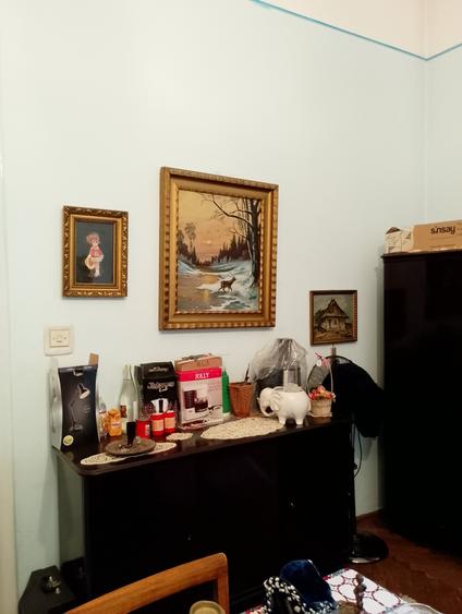 CI557 Lunei-Printul Turcesc,3 camere,Et.1,centrala - 15