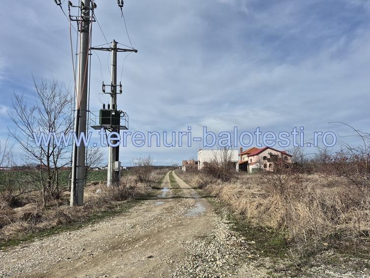 Teren cu gaz si electrica-hotar, 28000 E, padure - 5