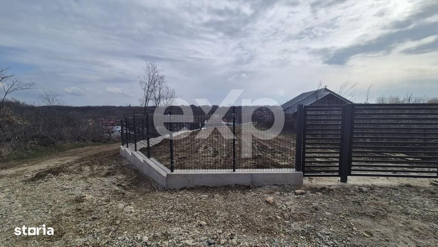 Spațiu comercial, în Albota