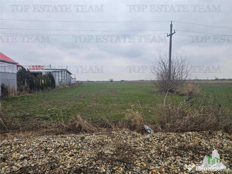 Teren comercial 7169mp la baza nod km35 pe A1 - 6