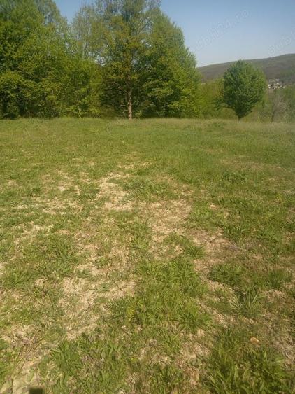 Teren de 791 mp, în Prislopu Mic