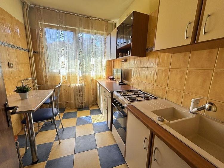 Inchiriere Apartament 2 camere Gorjului - 3
