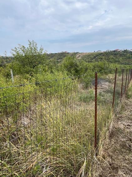 Vand URGENT teren intravilan 1000 mp str Livezilor - 2