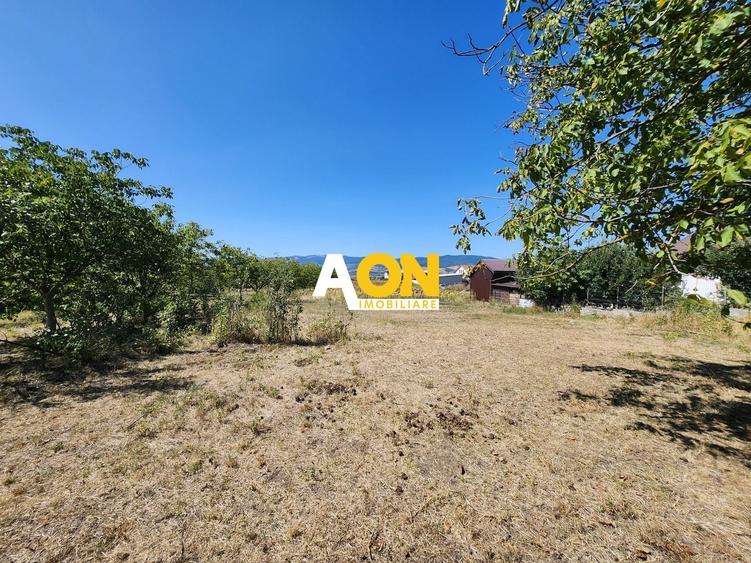 Teren Construcții intravilan de 10651 mp, în Oarda