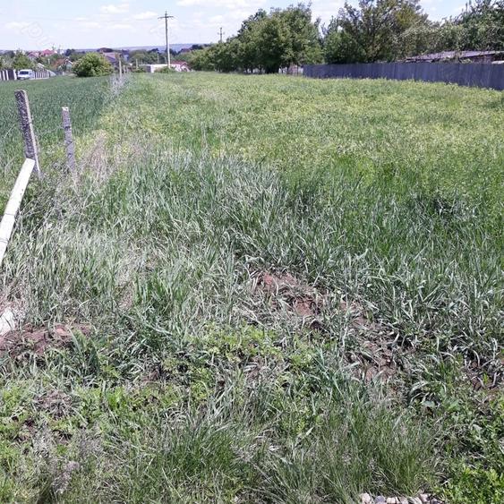 Teren de 2500 mp, în Central