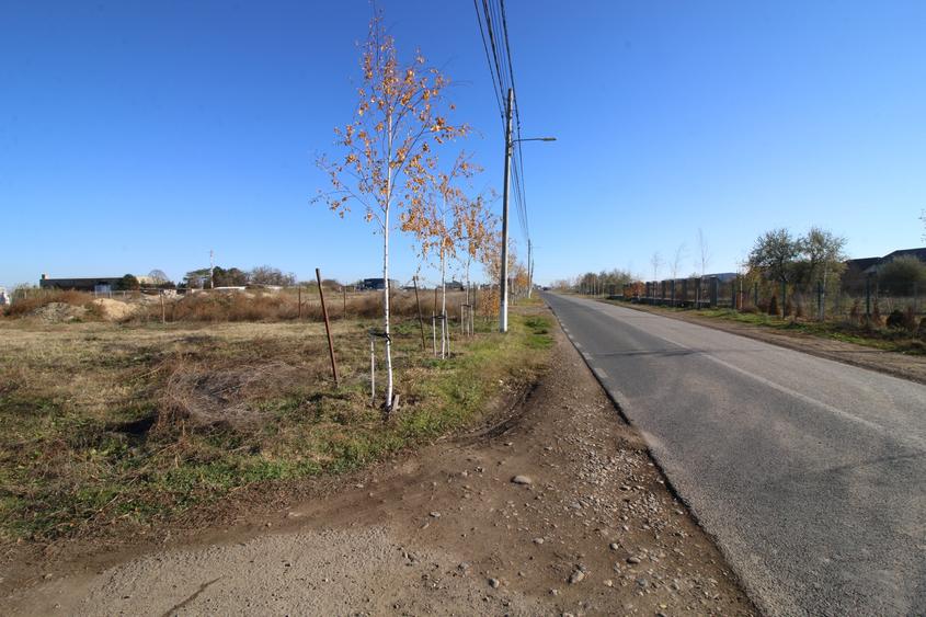 Teren Construcții intravilan de 897 mp, în Costi