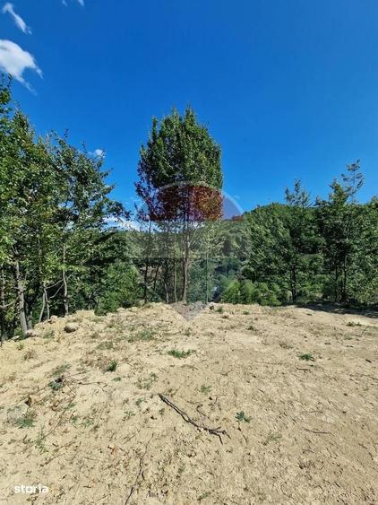 Casă cu 3 camere cu Teren 6000 Mp în Central