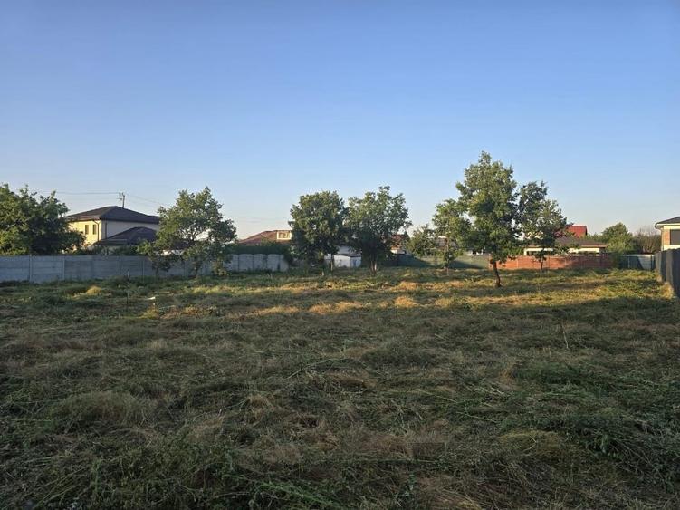 2 terenuri de 1250 mp fiecare - 4