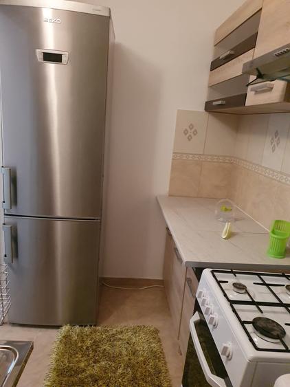 Sala Palatului 2 Camere Ultracentral - 9