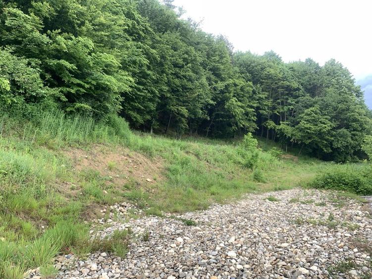 Teren pensiune, casa. de vacanta Maracineni - 2