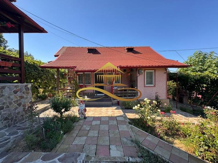 Casa si terasa de vanzare in Magura Bacau - 3