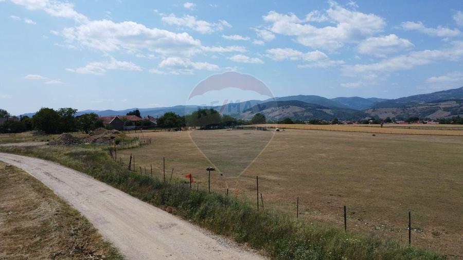 Teren industrial 5.000 mp Vintu de Jos - amplasament strategic - 13