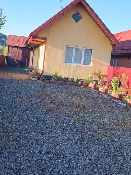 vand casa Gurghiu - 3