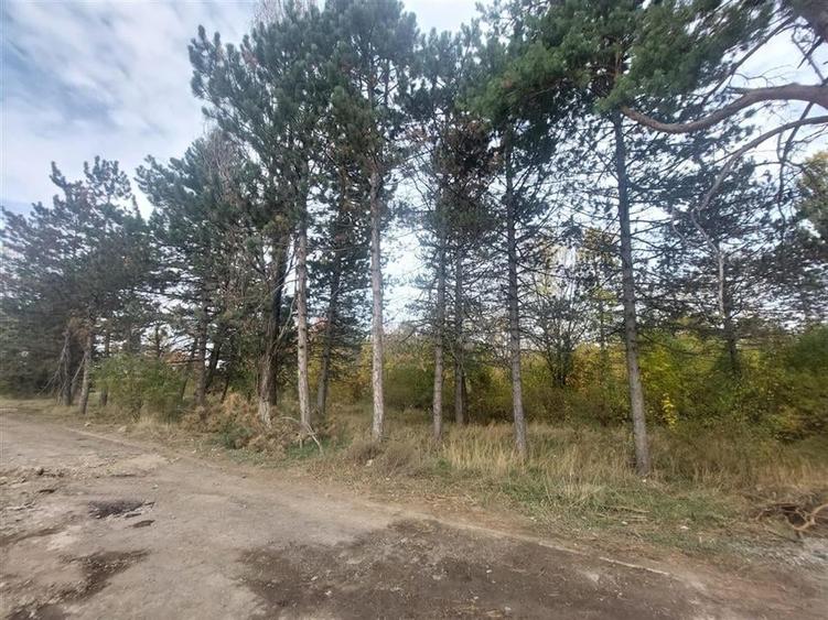 TEREN DE VANZARE 2000 MP IN VECINATATEA RAFO CU DESHIDERE LA SOSEAUA INDUSTRIILO - 3