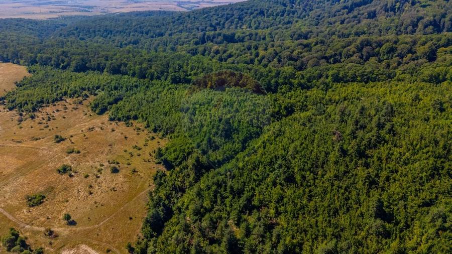 Teren 6,000mp Crizbav / Strada principala - 7