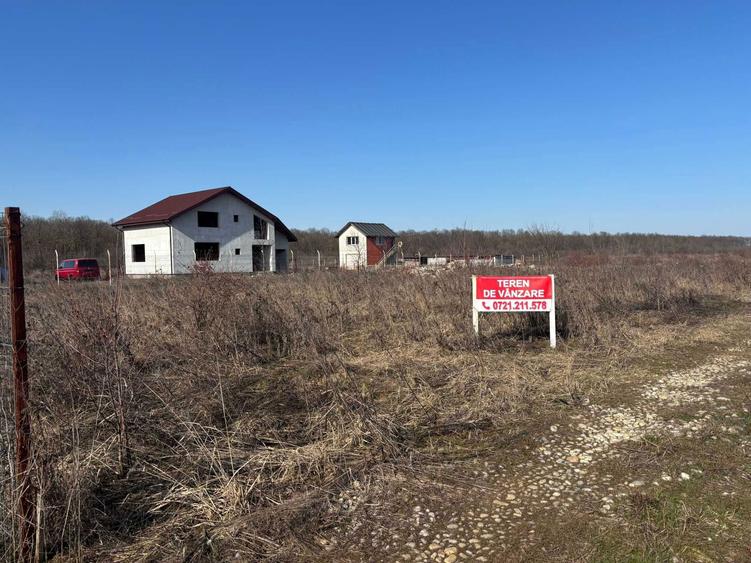 VAND Teren intravilan Malul Spart - Langa padure - 3