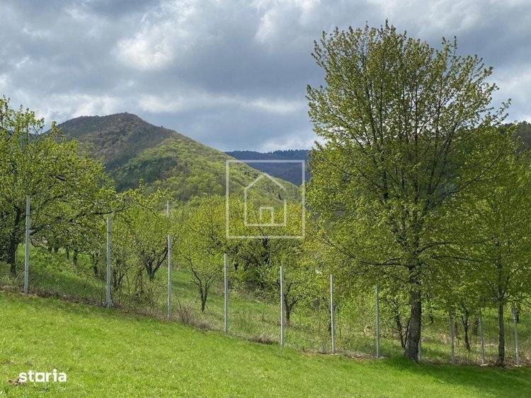 Teren intravilan 600 mp cu priveliste spectaculoasa zona Tocile - 5
