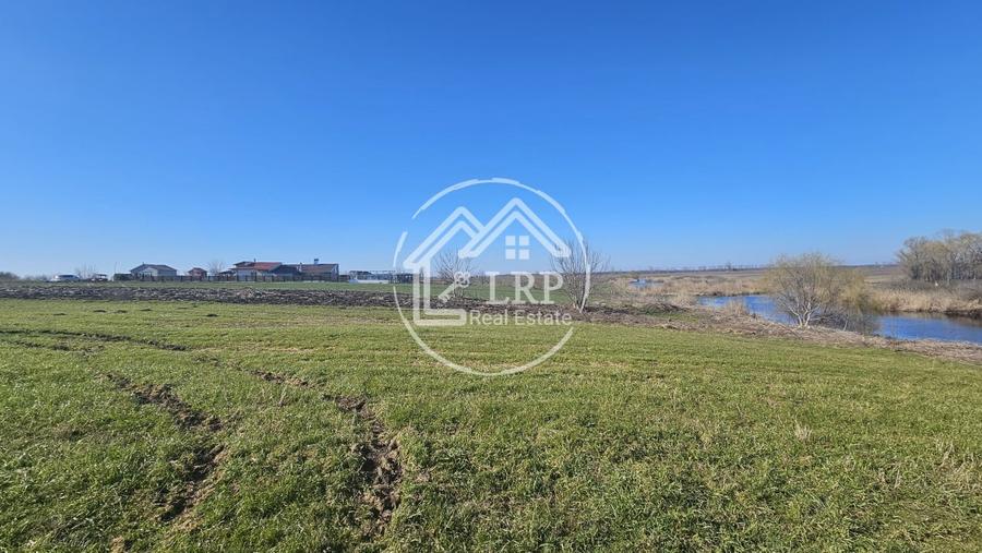 Loturi de Casa pe malul Lacului Creața, Dascălu – 460 mp + Drum servitute - 8