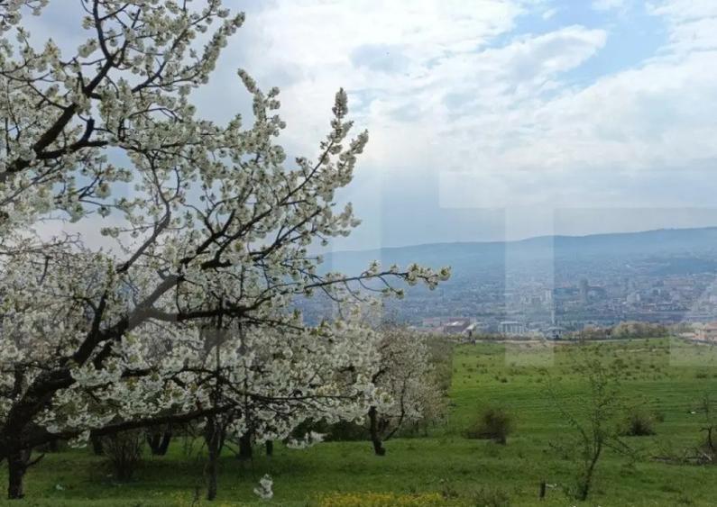 Teren extravilan, Dambul Rotund, 8310 mp - 2