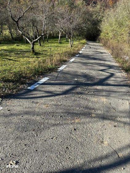 Vand teren extravilan in comuna Cosbuc ,33 arii - 8