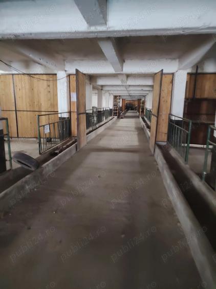 Inchiriez spa?iu depozitare, producyie - 1