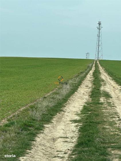 Proprietar Teren langa Domeniile Herneacova - 2