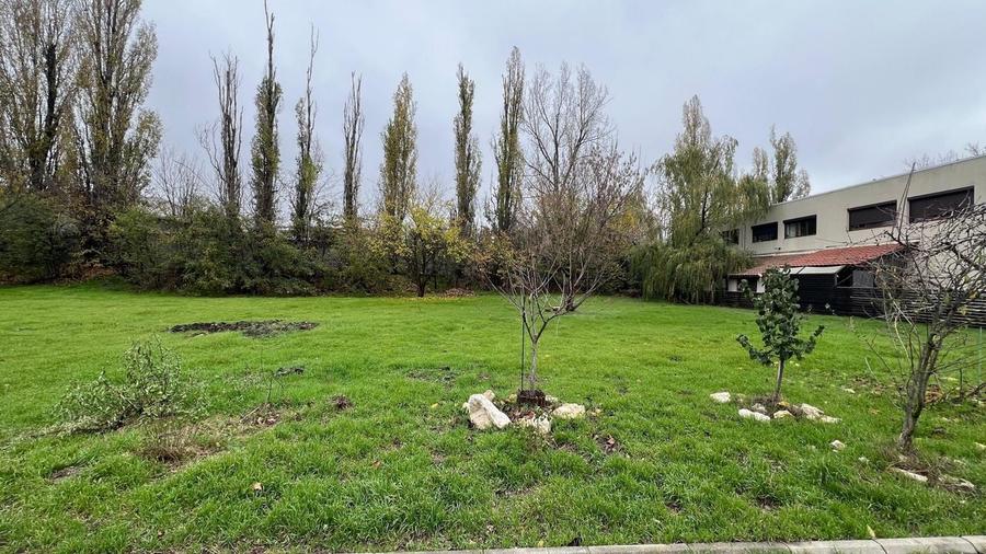 584 mp | Teren liber | Ideal locuinta | Zona pazita - 8