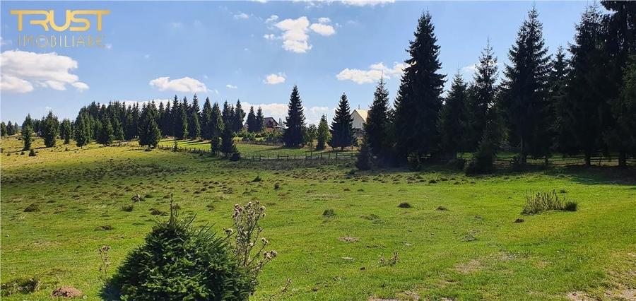 Oportunitare | Teren 1350 mp cu PUZ | Belis - 4