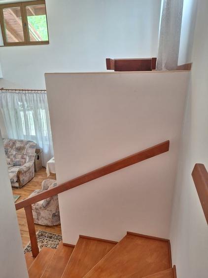 Giurgiu, vila cu padure proprie, izvor si iaz pe 19.900 mp teren - 9