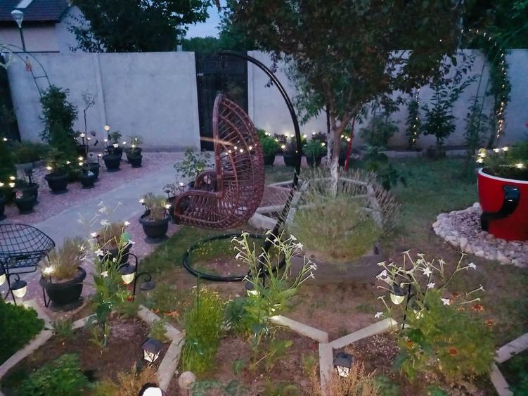 Parter cu structură pentru etaj, curte amenajată și organizare impeca - 6