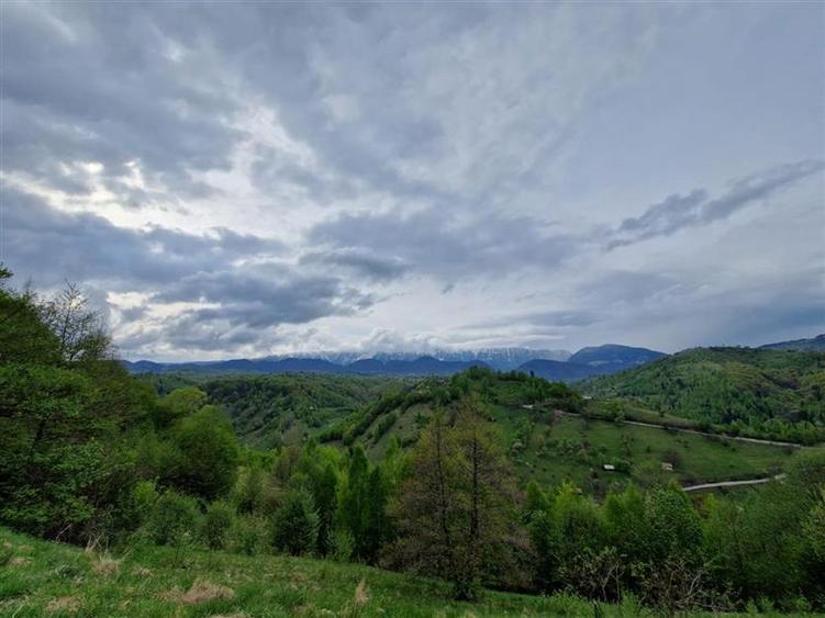 7.000 mp, pozitie spectaculoasa, fara vecini, Fundatica, Brasov - 3