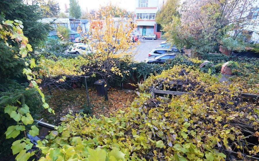 Garsoniera Baba Novac | Curte Generoasa | Localizare Excelenta - 10