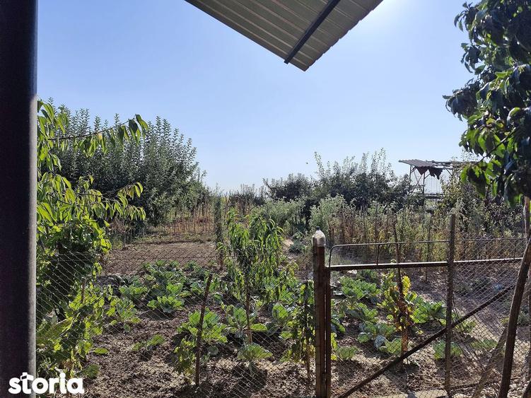 Casa la tara in Sacadat, Bihor, teren 2826 mp, acces auto - Vanzare - 6