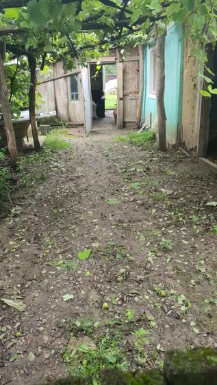 Casa de vanzare Luncasi - 3