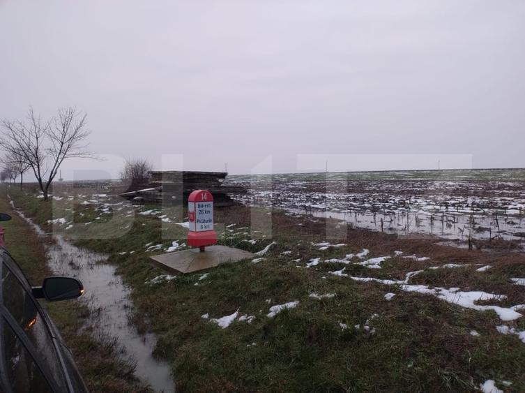 Teren intravilan stradal 17000 mp, toate utilitatile - 1