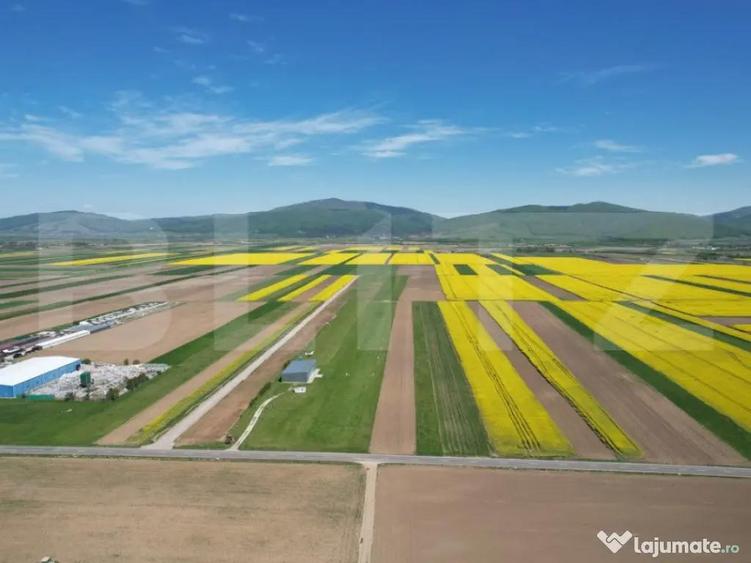 Teren extravilan, 17700mp, zona Prejmer - 6