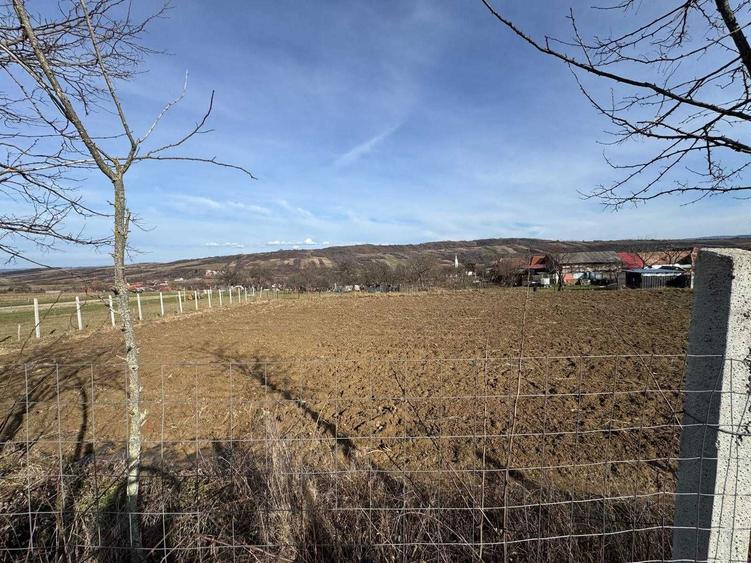 Vand teren intravilan in localitatea Copacel, Bihor, suprafata 3082 mp - 5