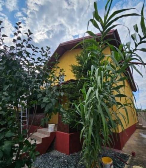 Bragadiru - casa de vanzare, 4 camere - 1