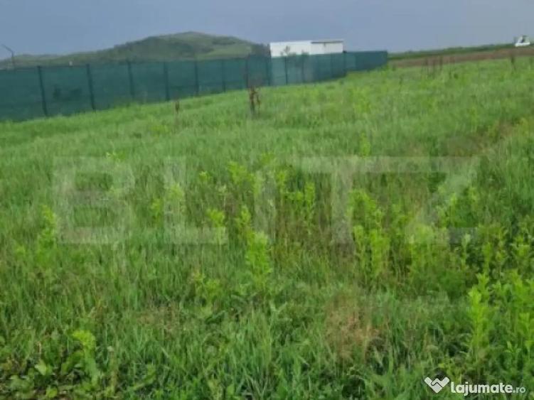 Teren pentru casa intravilan , 800 mp deschidere la drum Bod - 2