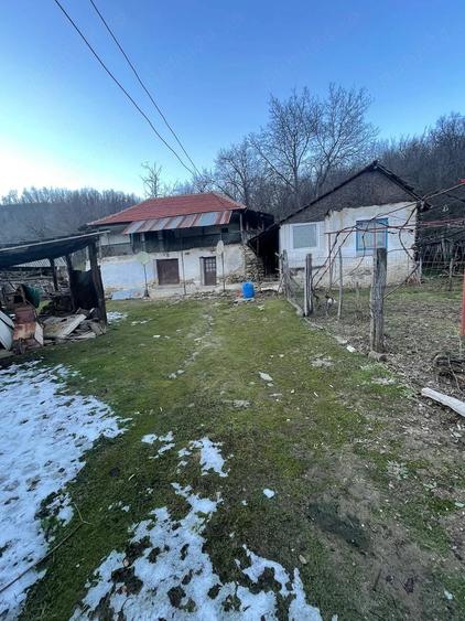 Casă cu Teren 15000 Mp în Central